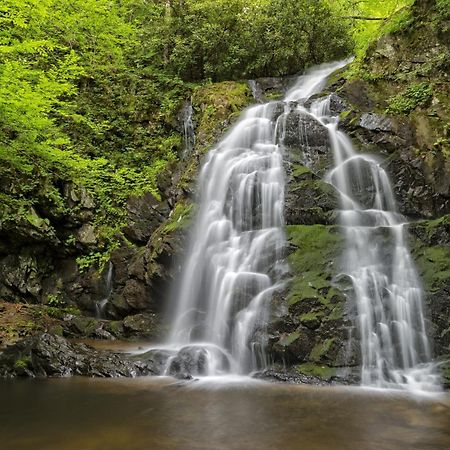 Hidden Memories, Hot Tub, 1089 Of Free Attraction Tickets For Each Paid Day, Dollywood And More Гетлинбург Екстериор снимка
